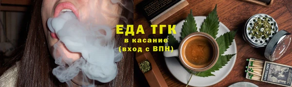 индика Бронницы
