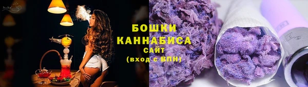индика Бронницы