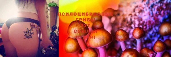 стафф Бородино