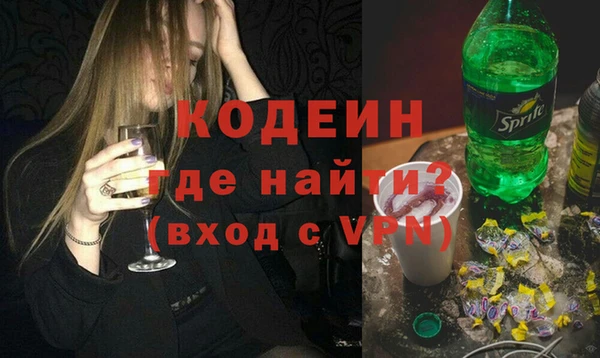 индика Бронницы