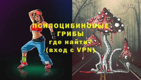 прущие грибы Бугульма