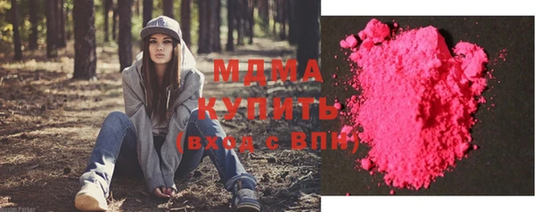 индика Бронницы
