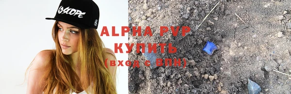стафф Бородино