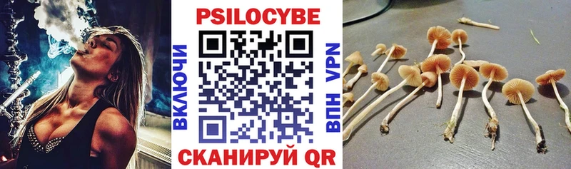 МЕГА онион  наркота  Южно-Сухокумск  Псилоцибиновые грибы Magic Shrooms 